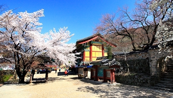 갑사