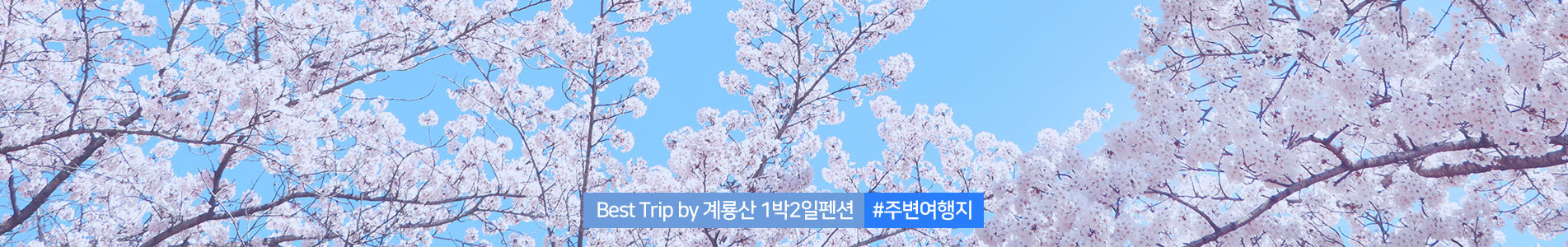 이미지명
