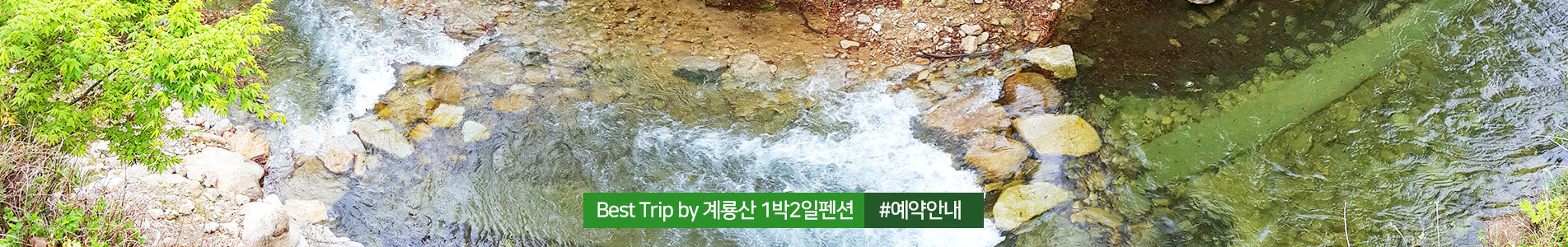 이미지명