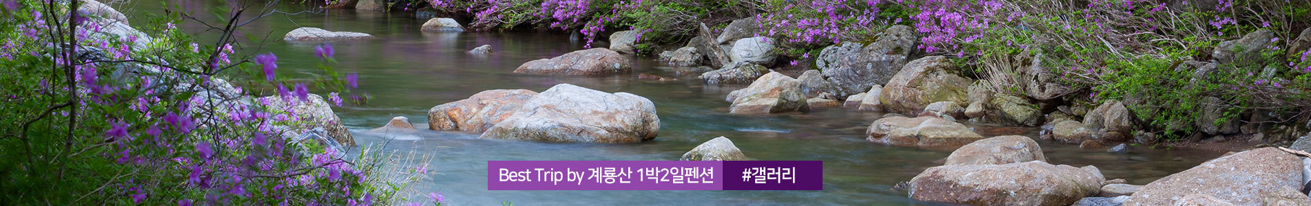 이미지명