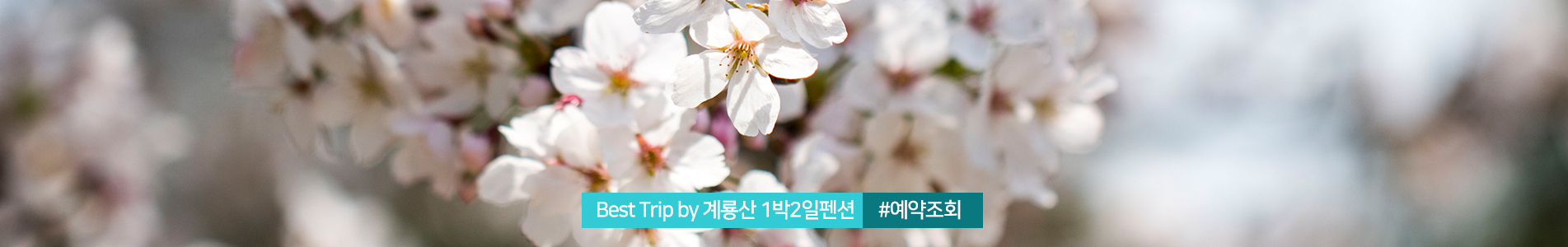 이미지명