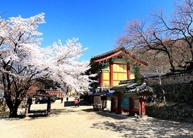 갑사