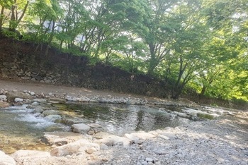 펜션 앞 계곡물